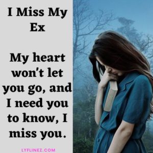 I Miss My Ex- How Can I Stop Missing Him/Her - lyflinez.com